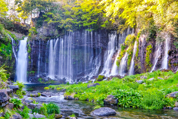 静岡県の白糸の滝