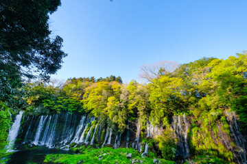 静岡県の白糸の滝