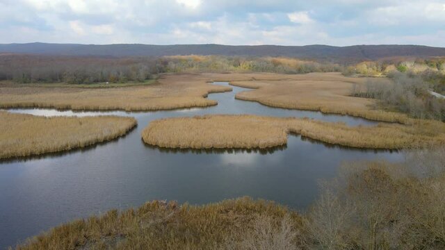 Lake and reeds in autumn, Igneada, Turkey