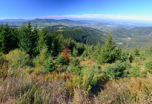 Panoramic view from Lys&aacute; hora to the foothills of the Beskydy Mountains, Czech Republic. Forest, trees, sunny day, distant view.