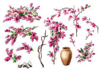 Fototapeten Bougainvillea-Blume, dekorativer Elementsatz, handgezeichnete Aquarellillustration isoliert auf weißem Hintergrund © dariaustiugova