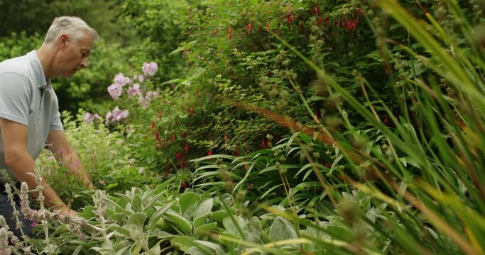 4k, Mature man tired after having worked all day in his backyard.