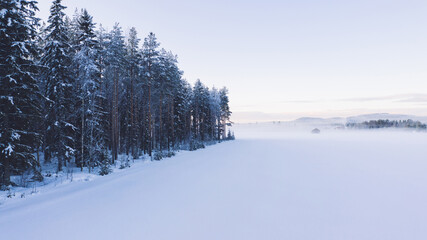 Breathtaking bird's eye view of valley covered with fog before sunrise time in winter. Aerial view of picturesque tranquility of nature, coniferous forest pines in snow