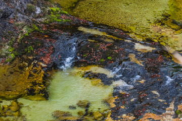 step wo a basin with clear cold mountain torrent while hiking