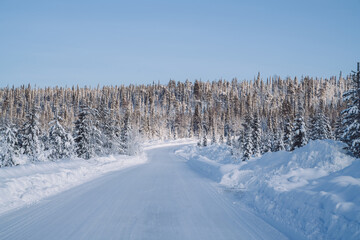 Fototapeta na wymiar Road on snow near tall trees in national park environment with tall wood on sunny winter day, scenery of beautiful northern getaway destination