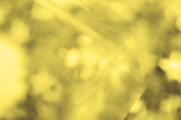 Fototapeta na wymiar Abstract blurred yellow glitter background. Bright and Abstract blurred bright yellow beautiful glitter background. Trendy color of the year. Bright and colorful background. Color 2021. Illuminating.