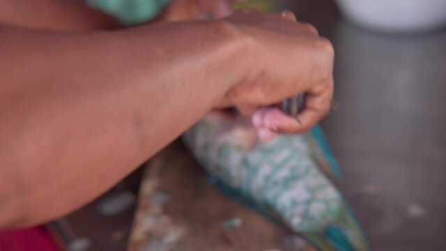 Hands open and clean fish with knife. Close up