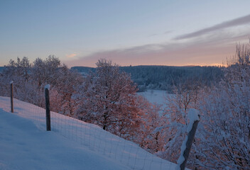 Morgensonne im Winter 