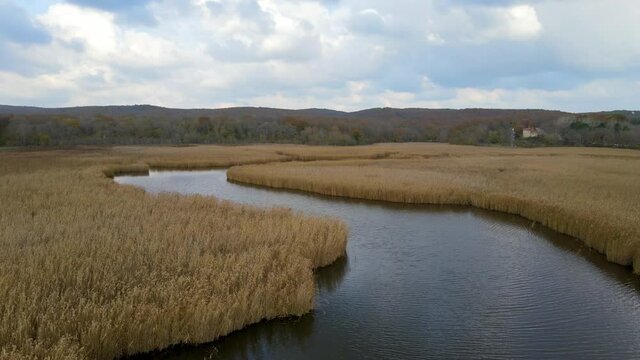 Lake and reeds in autumn, Igneada, Turkey