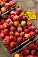 There are  organic apples in a metal crate