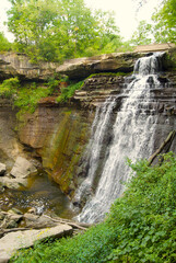 Fototapeta na wymiar Waterfall in the Forest