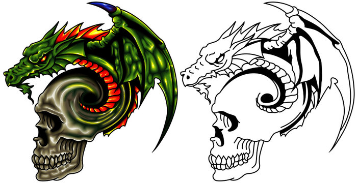 Green Dragon holds a human skull. Realistic vector illustration in tatto style.