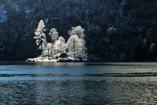 Die Christlieger Insel am K&ouml;nigssee mit eisbedeckten B&auml;umen im Winter
