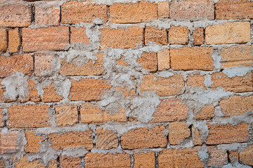 Shell rock wall as background. Texture is made of shells brick