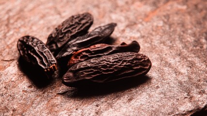 Tonka Beans on a dark background