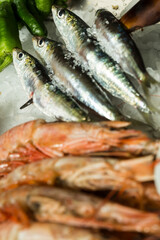 Skewered sardines prepared for Espeto dish for sale in indoor Spanish seafood market in Malaga. Foreground of out of focus prawns on ice, vertical closeup