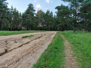 path in the park