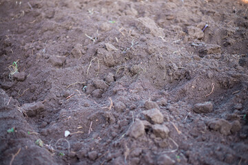 A plowed earthen field containing black soil and peat