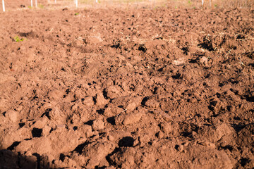 A plowed earthen field containing black soil and peat