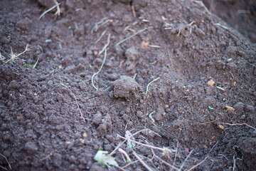 A plowed earthen field containing black soil and peat