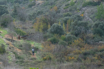 Fototapeta na wymiar A Hiker on a Nature Path