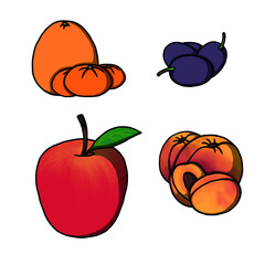 Collection of clip art fruits. Set of illustrations of fruits isolation on white background. Vector illustration