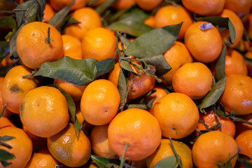 Un monton de mandarinas naturales con hojas verdes 