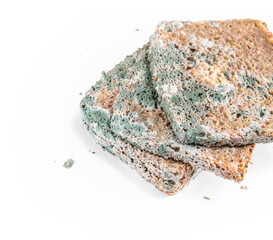 Slice of moldy bread, rotten and uneatable. Studio shot