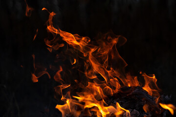 Fire flames, burning pile of cardboard and waste paper