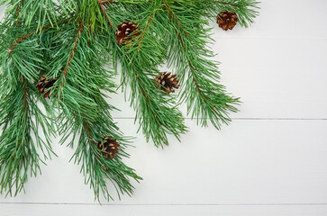 Green pine tree branches with cones on white wooden background