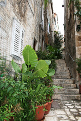 Fototapeta na wymiar Narrow alley up the stairs between houses on an island in Croatia.