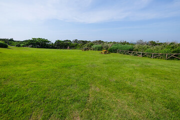 神奈川県城ヶ島公園の芝生広場
