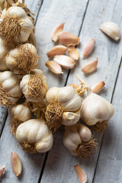 Organic grown garlic