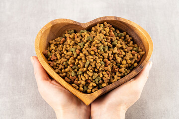 Pet food in heart shaped bowl in woman hands, pet love concept