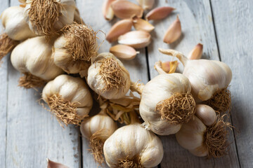 Organic grown garlic