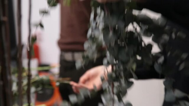 girl florist prepares flowers for making a bouquet of flowers