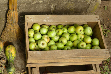 Fototapeta na wymiar Green apples in wooden box. Harvest concept at the end of the summer season