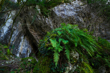 Arrikrutz cave, Oñati, Gipuzkoa, The Basque Country, Spain, Europe