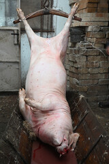 rural slaughter pig food theme