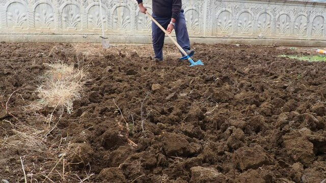 garden soil preparation, hoeing, soil preparation for planting,