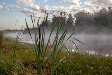 Obraz na płótnie Canvas Serene foggy early morning at dawn by the river, a great place for Russian fishing. Reeds grow along the banks, clouds are reflected in the water.