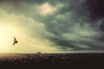 Evening misty cityscape from above bird flying over, shot from tall building. Chennai, India.
