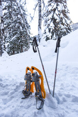 Fototapeta na wymiar ciaspole racchette da neve camminare sulla neve escursione neve