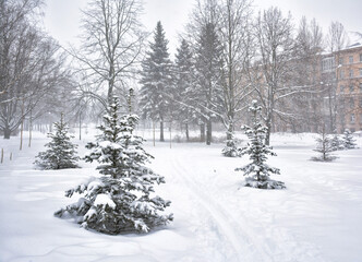 A snowstorm in the Kurakina Dacha park .