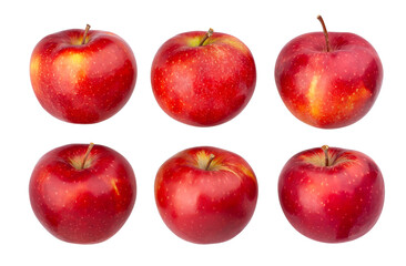 red apple path isolated on white