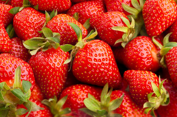 strawberry group macro closeup focus detail