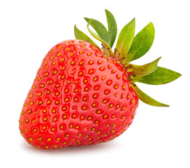 strawberry path isolated on white