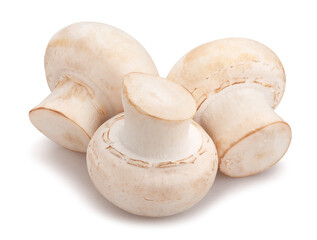 mushroom path isolated on white