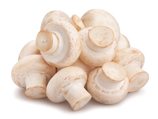 mushroom path isolated on white