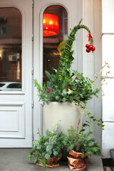 Potted fir tree near the entrance door to the house. Christmas outdoor house decorations